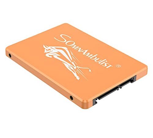 Somnambulist SSD 120GB SATA III 6Gb/s 2.5" Unità a Stato Solido Interna, Velocità di Lettura fino a 550MB/sec, Compatibile con Laptop e PC Desktop H650 (toro d'oro 120GB)